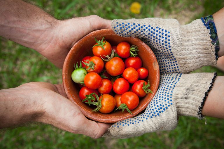 What Two Raw Vegans Taught Me About Sharing Jesus