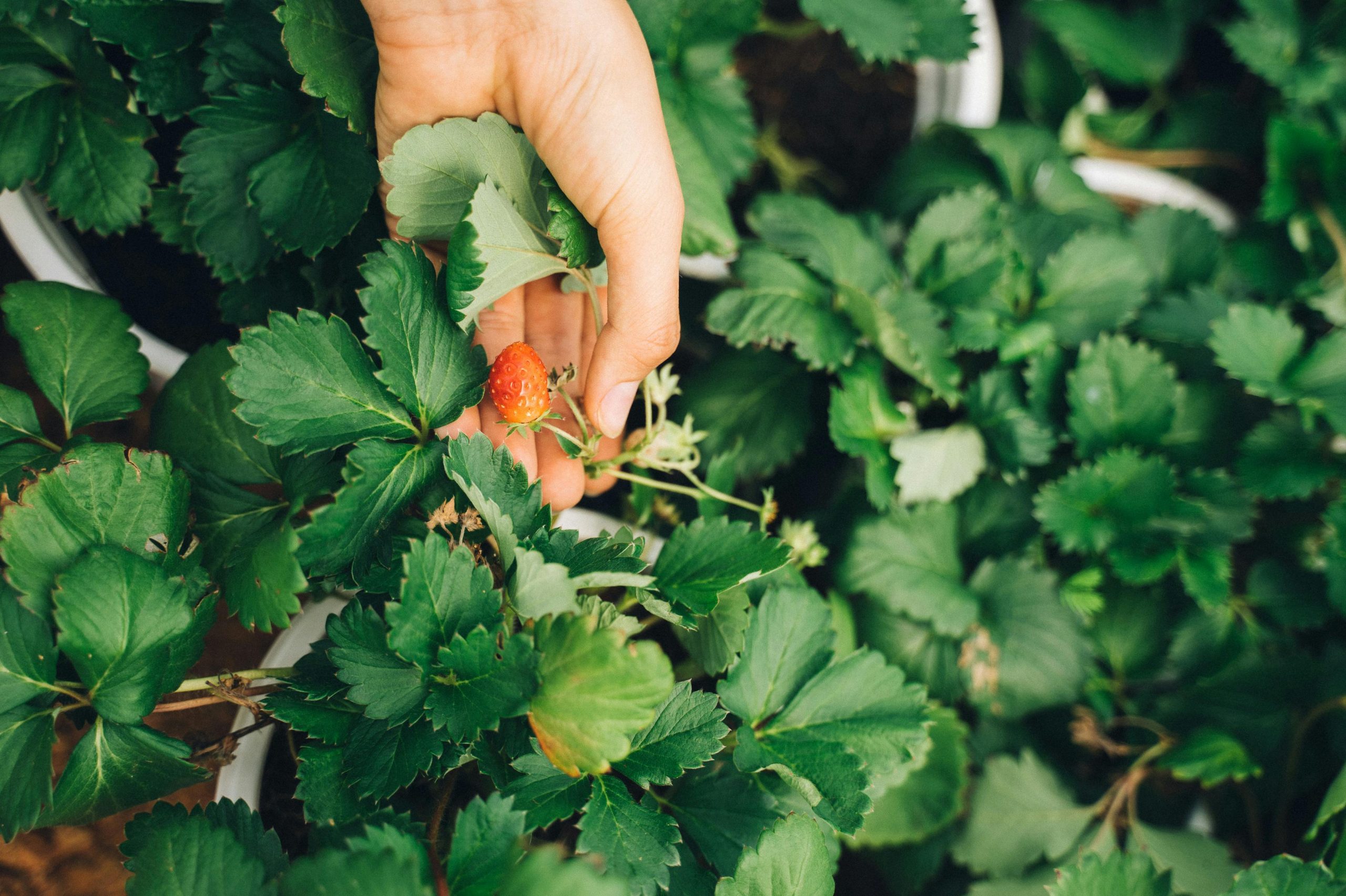 10 Things I Love About Being a Missionary