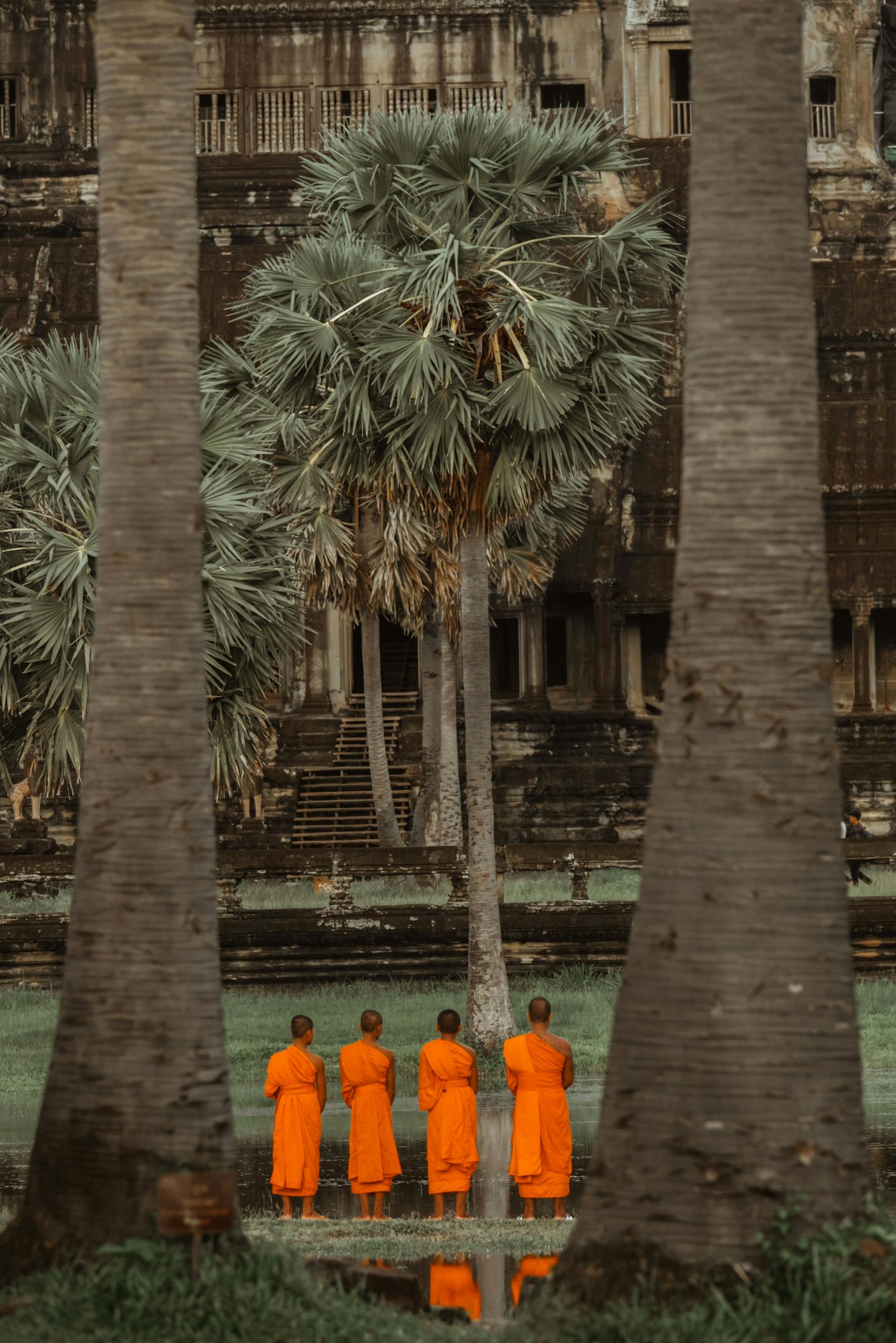 Monks in orange robes stand praying at Angkor Wat, Cambodia, a UNESCO World Heritage site.