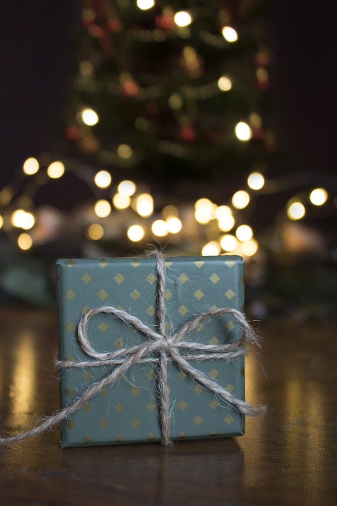 A decorated Christmas gift with a bow in front of warm bokeh lights and a tree.
